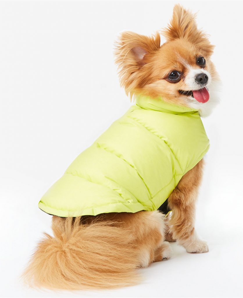 dog-down-puffer-coat