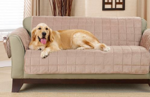 Pet Slip Cover Macys